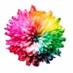 Color